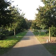 Herminhauspark in Velbert Durch eine Baumallee führt ein asphaltierter Gehweg, flankiert von gepflegten Grünflächen.