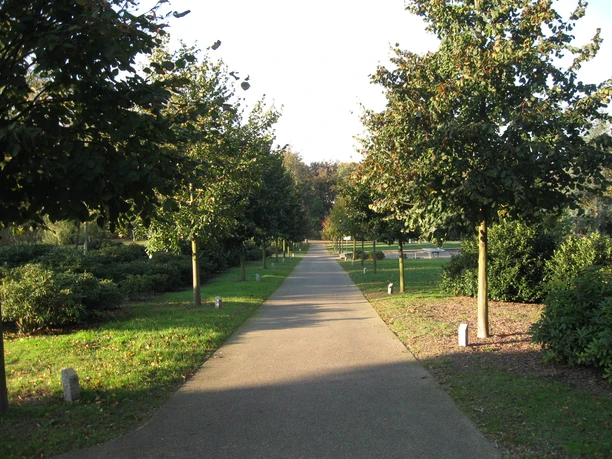 Herminhauspark in Velbert Durch eine Baumallee führt ein asphaltierter Gehweg, flankiert von gepflegten Grünflächen.