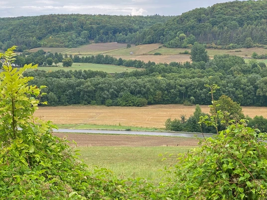 Blick über eine hügelige Agrarlandschaft mit Wiesen, Feldern und üppigem Wald im Hintergrund.
