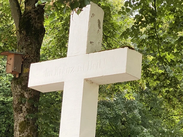 Istruper-pilgerweg Ein weißes Kreuz mit der Inschrift "Im Kreuz ist Heil" steht umgeben von üppigen, grünen Bäumen.