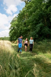 Wandern in Frielendorf