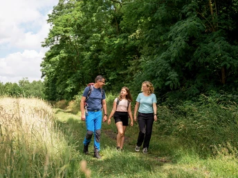 Wandern in Frielendorf