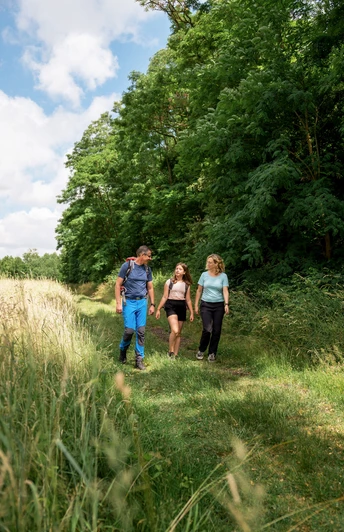 Wandern in Frielendorf