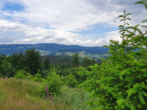 Wupp die Kupp mit Blick von der Ibrakuppe
