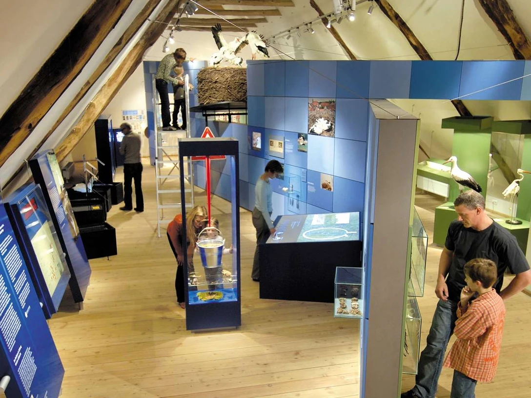 Storchenmuseum Innenansicht des Storchenmuseums: Besucher erkunden verschiene Exponate in einem rustikalen Raum.