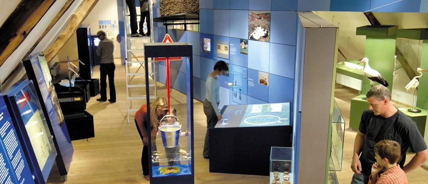 Storchenmuseum Innenansicht des Storchenmuseums: Besucher erkunden verschiene Exponate in einem rustikalen Raum.
