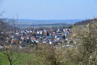 DSC 1104 1