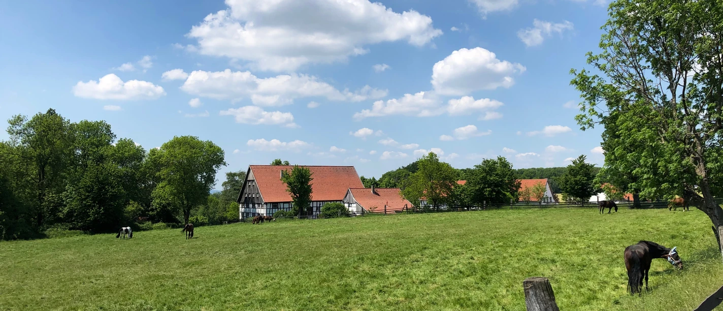 Es grünt so grün_IMG_5043.jpeg <p>Grüne Wiese mit grasenden Pferden, idyllisch gelegen, eingerahmt von Fachwerkhäusern und Bäumen.</p>