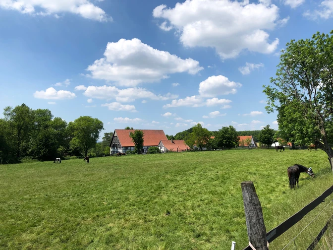 Es grünt so grün_IMG_5043.jpeg <p>Grüne Wiese mit grasenden Pferden, idyllisch gelegen, eingerahmt von Fachwerkhäusern und Bäumen.</p>