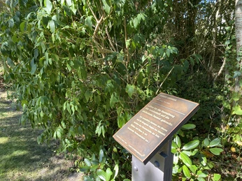 Albert Aereboe (2).jpg