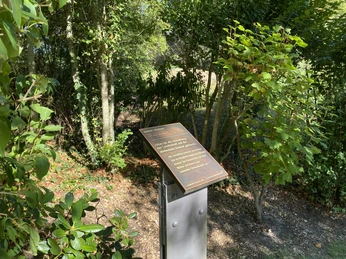 Albert Aereboe (1).jpg