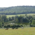 Reitlingstal_c_Geopark_HBLO_J.Trentlage.jpg
