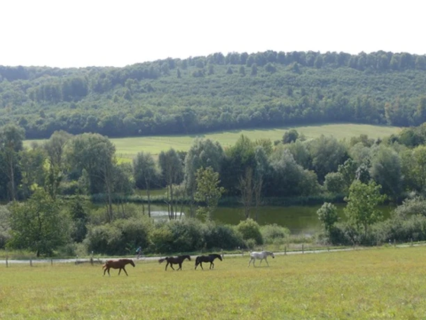 Reitlingstal_c_Geopark_HBLO_J.Trentlage.jpg