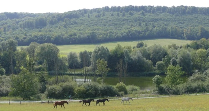 Reitlingstal_c_Geopark_HBLO_J.Trentlage.jpg