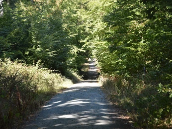 Trimm Dich Pfad in Bad Homborg Trimm Dich Pfad in Bad Homburg