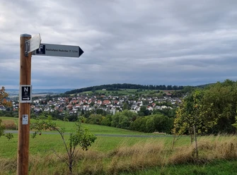 Blick auf Neukirchen