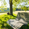 Eine geschwungene Holzbank steht unter einem Baum an einem Weg, umgeben von grüner Wiese.