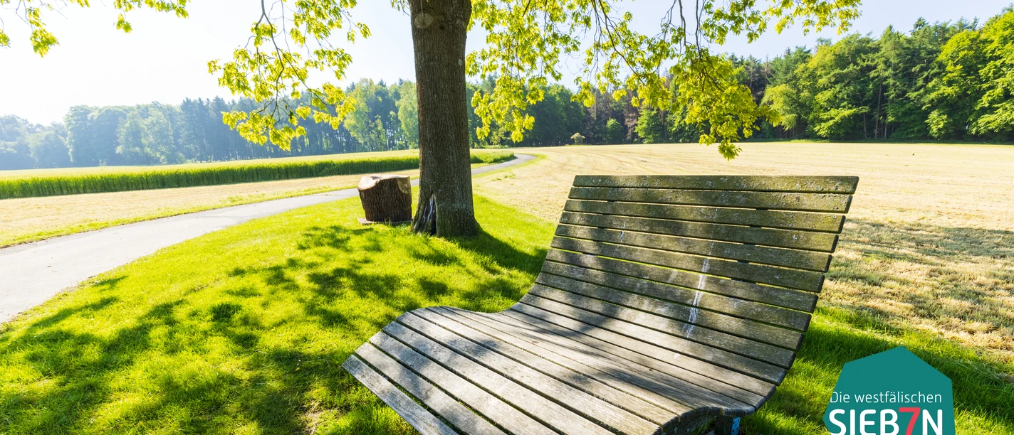 Eine geschwungene Holzbank steht unter einem Baum an einem Weg, umgeben von grüner Wiese.