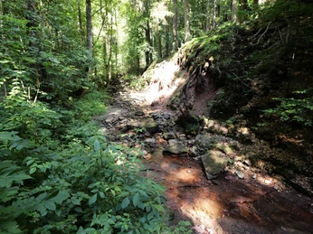 Gersfeld - Rhön Gersfeld - Rhön