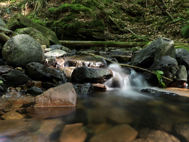 016HR - Gersfeld - Rhön Bach.JPG