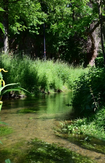 Hederquellgebiet | Salzkotten-Upsprunge Hederquellgebiet | Salzkotten-Upsprunge