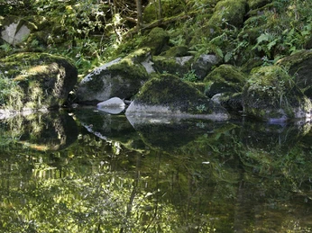 Murglandschaft bei Forbach im Murgtal_U. Klumpp