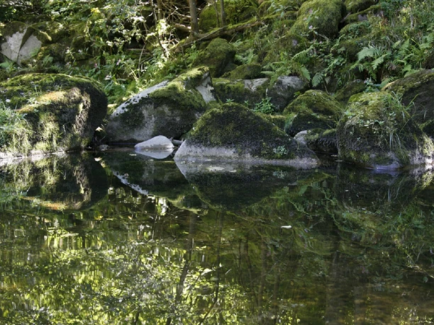 Murglandschaft bei Forbach im Murgtal_U. Klumpp