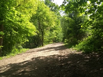 Am Hickenstein in Herdecke