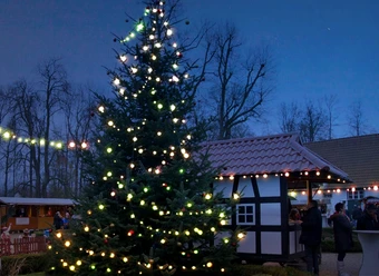 Weihnachtsbaum mit bunten Lichtern vor einem Fachwerkhaus und festlich geschmückten Ständen abends.