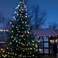 Pr. Oldendorf Weihnachtsmarkt Bad Holzhausen Weihnachtsbaum mit bunten Lichtern vor einem Fachwerkhaus und festlich geschmückten Ständen abends.