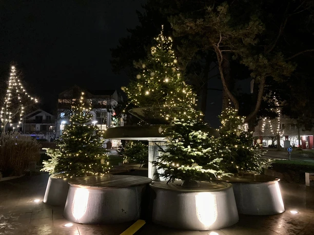 Weihnachtlich illuminierte Tannenbäume in großen Pflanzgefäßen vor abendlicher Stadtkulisse.