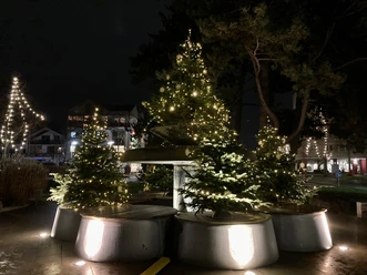 Weihnachtlich illuminierte Tannenbäume in großen Pflanzgefäßen vor abendlicher Stadtkulisse.