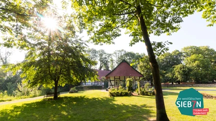 Hille Traditionelles Fachwerkhaus im dichten grünen Wald, direkte Sonne im Hintergrund, ruhig gelegen.