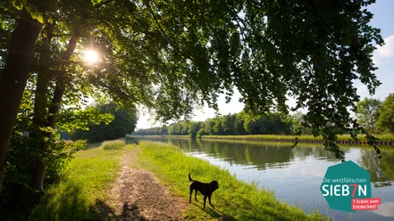Ein Weg führt entlang eines von Bäumen gesäumten Kanals, während ein Hund im Vordergrund steht.