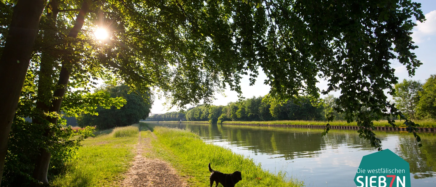 Ein Weg führt entlang eines von Bäumen gesäumten Kanals, während ein Hund im Vordergrund steht.