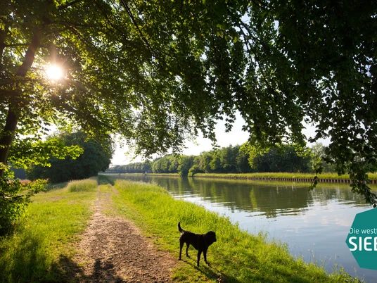 Ein Weg führt entlang eines von Bäumen gesäumten Kanals, während ein Hund im Vordergrund steht.