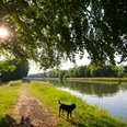 Lübbecke: Mittellandkanal Ein Weg führt entlang eines von Bäumen gesäumten Kanals, während ein Hund im Vordergrund steht.