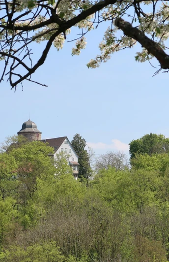 08 Raboldsh user Ritterweg Anders