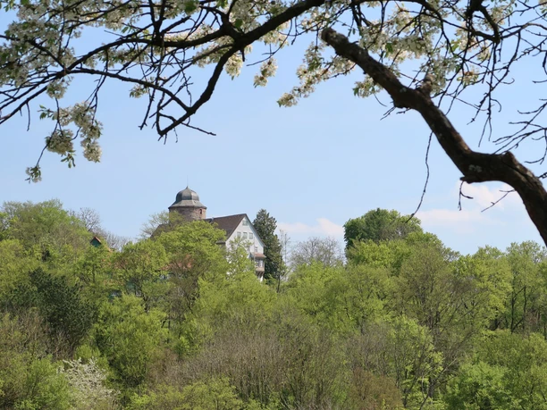 08 Raboldsh user Ritterweg Anders