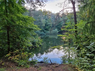 Blick auf den Sebbelsee