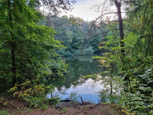Blick auf den Sebbelsee