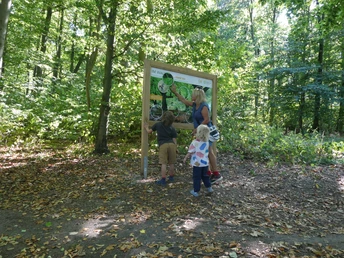 Eine Frau mit zwei Kindern betrachtet ein Informationsschild im grünen Wald am Paderborner Höhenweg.