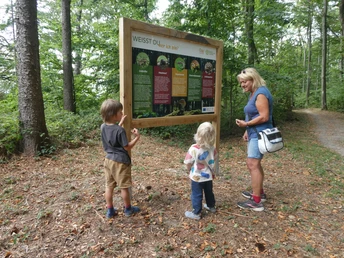 Auf der Familienvariante des Paderborner Höhenwegs Mutter mit zwei Kindern liest Info-Tafel im Wald. Weg, Bäume und Laub am Boden, ruhige Atmosphäre.