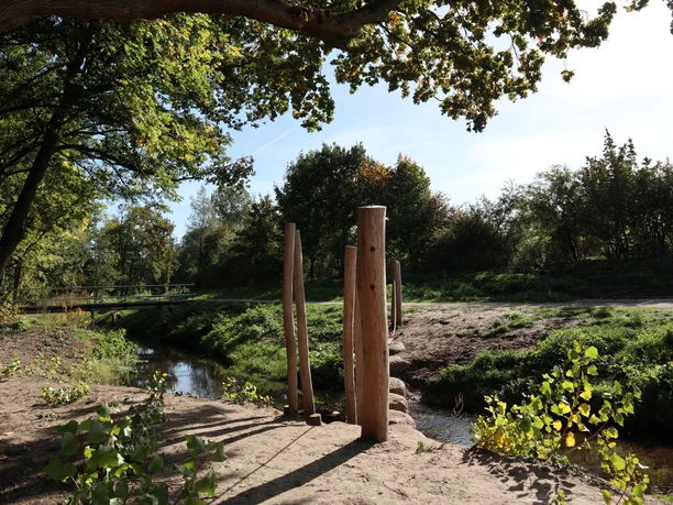 Ein idyllischer, bewaldeter Bachlauf unter einem sonnigen Himmel mit Holzpfosten im Vordergrund.