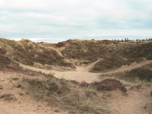 Die Süderlügumer Binnendünen.jpg