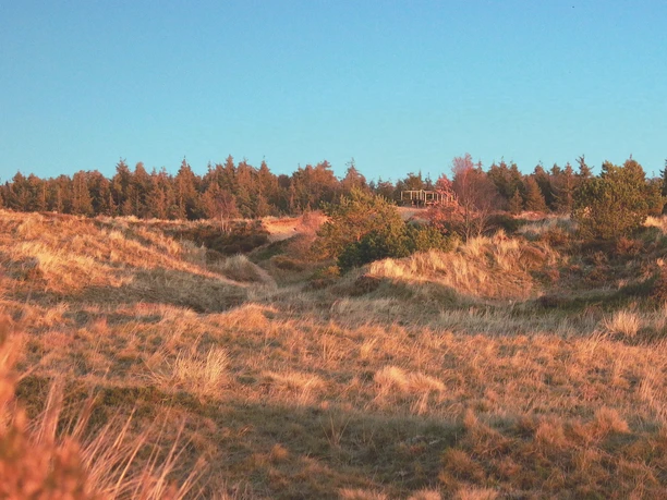 Indlandsklitterne ved Süderlügum.jpg