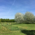 Golfclub Am Katzberg in Langenfeld Grüne Golfanlage mit reifenden Bäumen und Spaziergängern auf gepflegtem Rasen unter blauem Himmel.