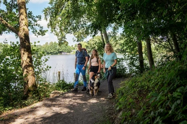 Wandern am Silbersee Frielendorf