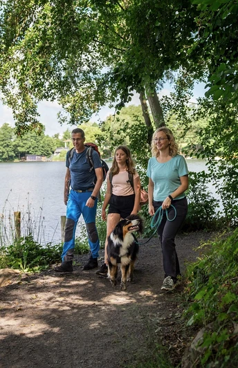 Wandern am Silbersee Frielendorf