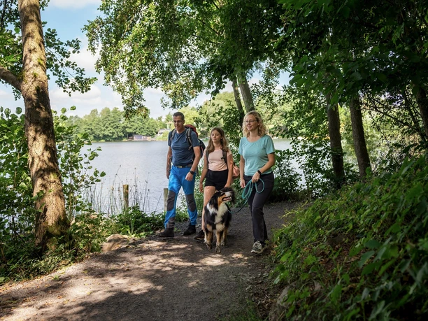Wandern am Silbersee Frielendorf